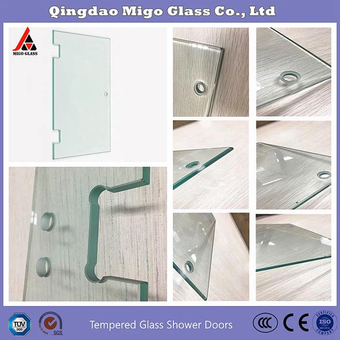 Glass Door Panels 