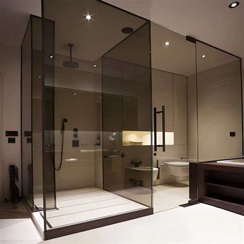 Скляні двері з тонованого душу